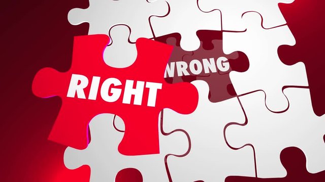 Right Vs Wrong Correct Accurate Puzzle Pieces 3d Animation