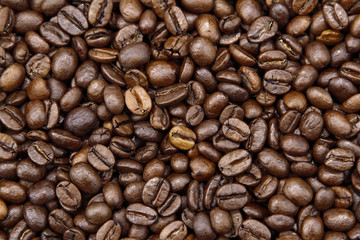 Fototapeta premium Coffee beans
