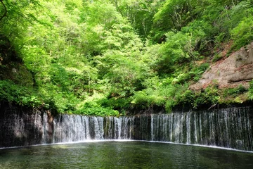 Fototapeten 軽井沢　白糸の滝 © dukeito