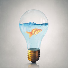 Gold fish in bulb .  Mixed media
