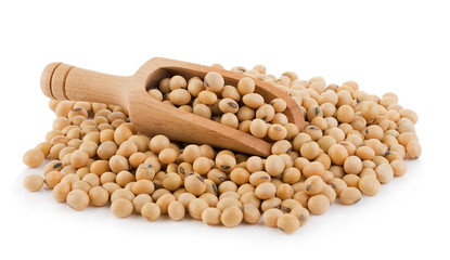 soy beans on white background