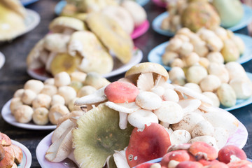 wild mushroom  in market