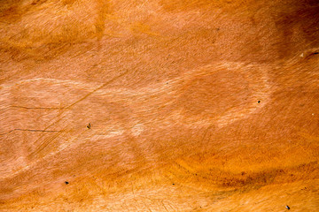texture  wood