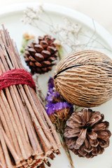 Pinecones and dried Plants, home decoration