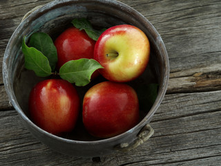 close up view of nice fresh apples on color background