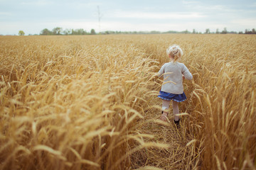 Naklejka na ściany i meble BACK VIEW: A little girl runs on a yellow agricultural field