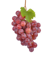 Bunch of grape on white background