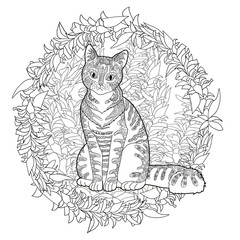 High detail patterned cat.