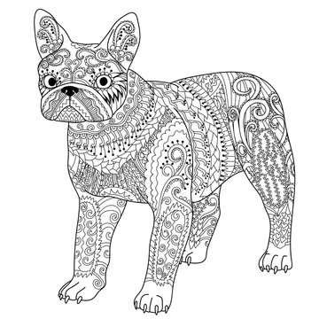 High detail patterned french bulldog.