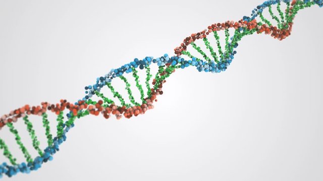 3D DNA Structure Animation