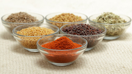 Different types of Indian spices in glass bowl, focus on red chili powder on jute mat background. Front view.