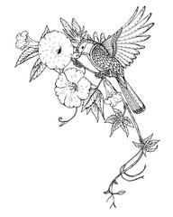Vector illustration of hand drawn graphic bird on bindweed flowe