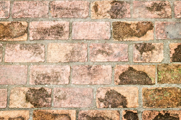 Background of brick wall texture