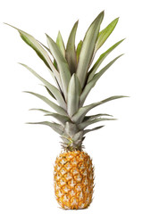 Fototapeta premium pineapple isolated on white