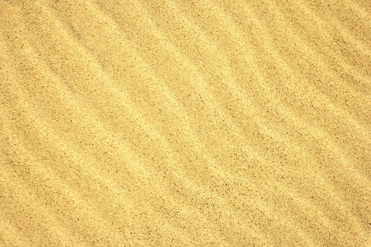 Sand Texture./Sand Texture