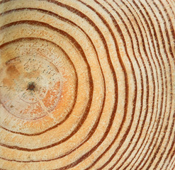 Fototapeta na wymiar Abstract Wood trim texture background