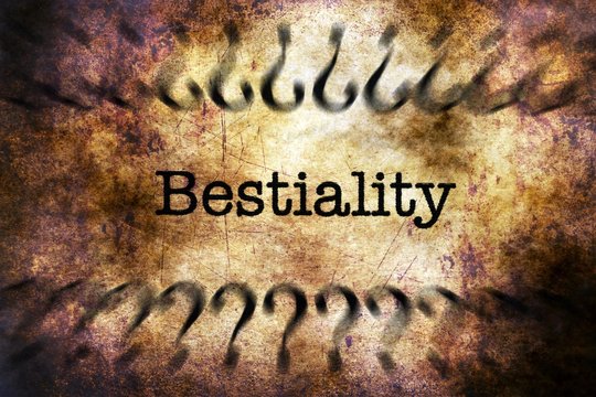 40 BEST Bestiality IMAGES, STOCK PHOTOS & VECTORS | Adobe Stock