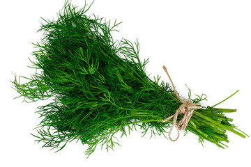 Fresh Juicy Dill Isolated on White Background