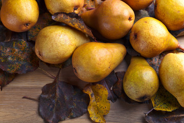 Juicy ripe pears with dried leaves