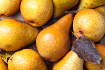 Juicy ripe pears with dried leaves
