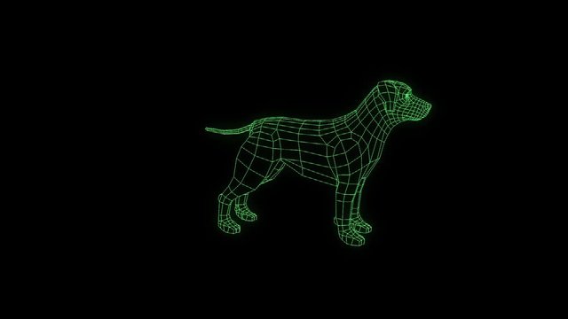 Dog in Hologram Wireframe Style. Nice 3D Rendering
