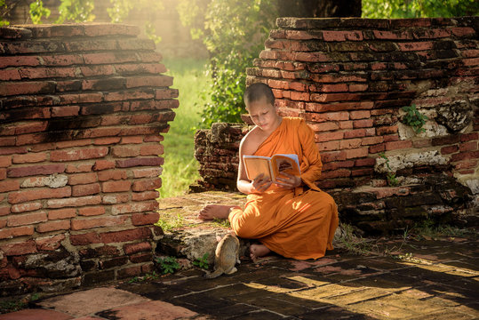 Young Buddhist novice monk