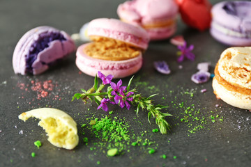 Flower and tasty broken macaroons on gray background