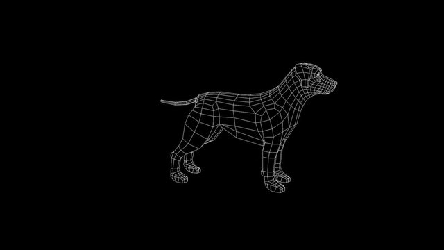 Dog in Hologram Wireframe Style. Nice 3D Rendering
