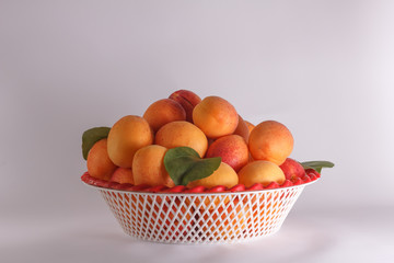 Fresh apricots in the bowl
