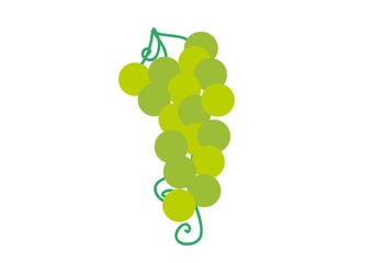 owoce,warzywa © monikakosz