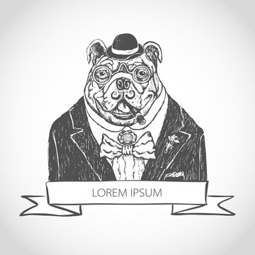 Vector illustration head ferocious bulldog mascot, on a white background vector