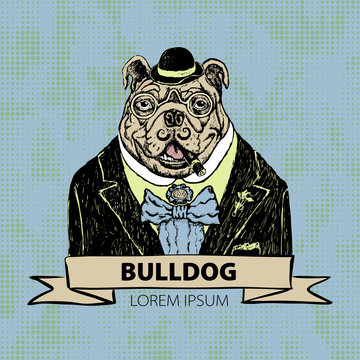 Hand Drawn Fashion Illustration of French Bulldog Hipster in colors vector