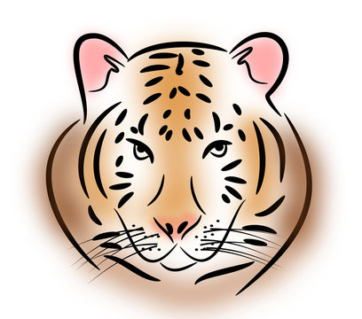 Tiger head illustration