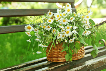 Wicker basket with bouquet of daisy flowers on the bench