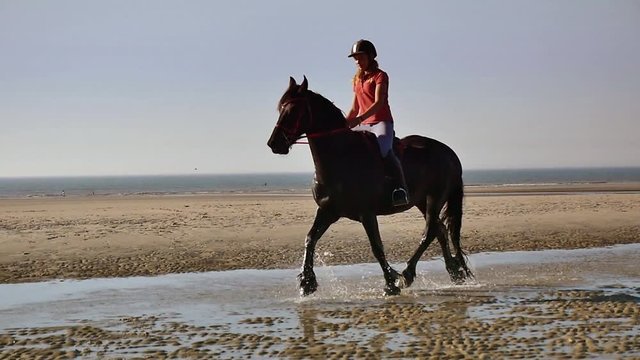 frison et sacavali&egrave;re au trot et au galop (slow motion 1080p)