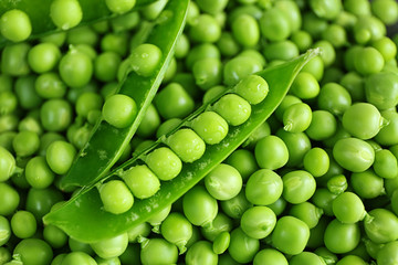 Green peas background