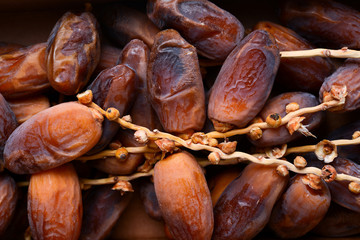palm fruit