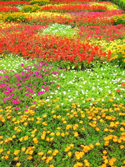 公園の花壇風景