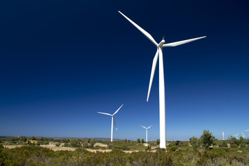 Wind Farm - Eolian