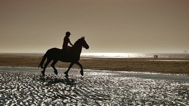 trot et galop au coucher du soleil sur la plage