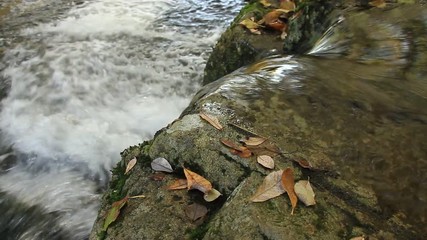 autumn river