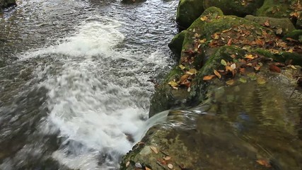 autumn river