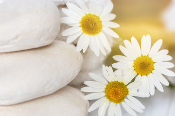 restful image of white stones and daisies - 116392035