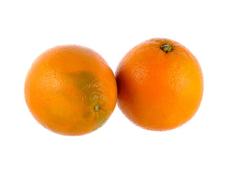 Sweet oranges on white background