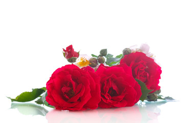 Obraz na płótnie Canvas bouquet of beautiful red roses