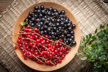 Redcurrant and blackcurrant in bowl.