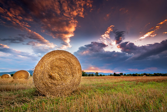 Agricultural field with hay bales at sunset.