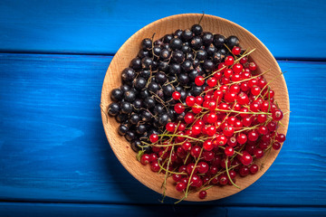 Redcurrant and blackcurrant in bowl.