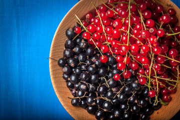 Redcurrant and blackcurrant in bowl.