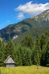 Fototapeta na wymiar Rural cottage in the mountain valley.